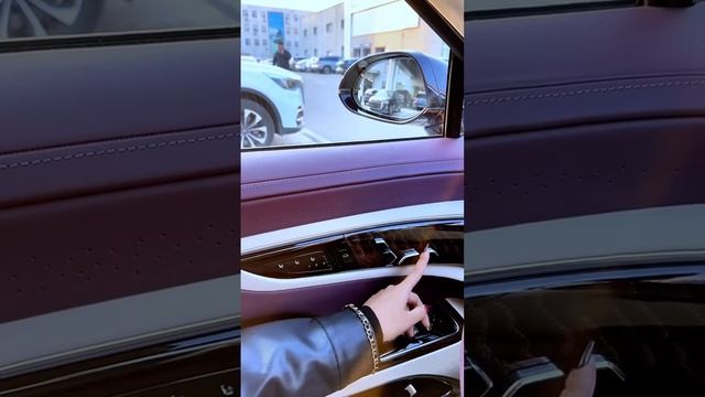 All New Luxury car 2024 Hongqi L1 GUOYA