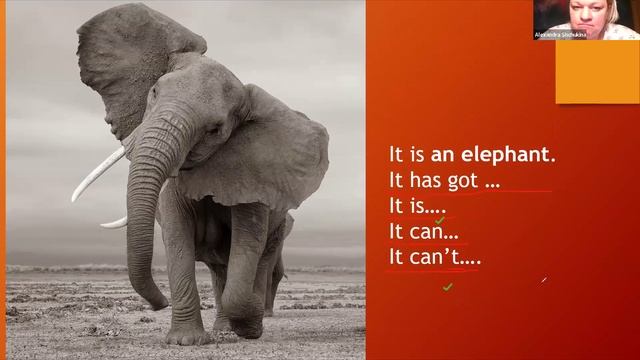 29.01 Children смотреть онлайн