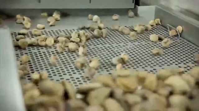 Figs смотреть онлайн