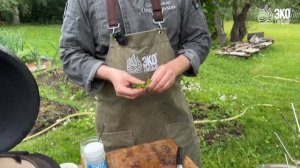 Шашлык на елочке в тандыре. Рецепт и совет ЭкоТандыр