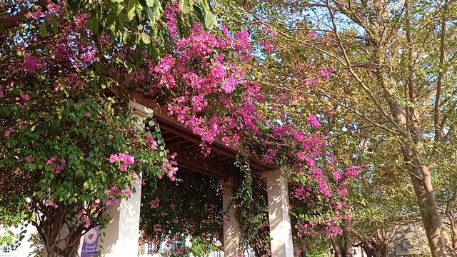 Сансет Таун, Фукуок, Вьетнам. смотреть онлайн