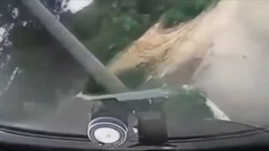 Девушки за рулем. Подборка самого смешного
