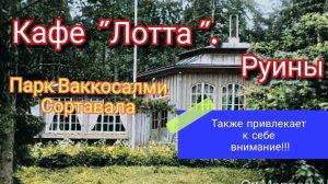 Кафе "Лотта" Руины.  Парк Ваккосалми Сортавала.  Карелия.  Место где стоит побывать!