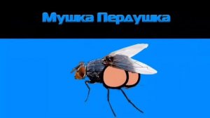 Мушка Пердушка