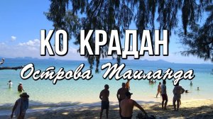 Остров Крадан и макаки-крабоеды в мангровых зарослях Ланты Яй