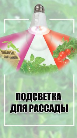 Подсветка для рассады