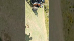 покатушки по лесу