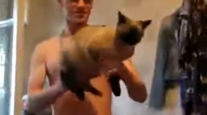 Кот-автомат