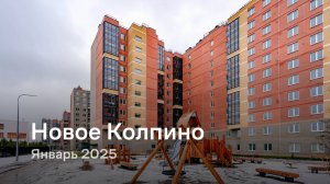 «Новое Колпино» / Январь 2025