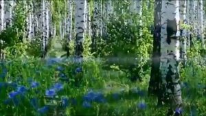 1000020799.mp4Аркадий Кобяков Русь