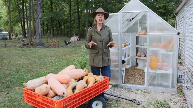 How to Harvest and Cure Pumpkin and Winter Squash + The TRICK for knowing when to harvest! смотреть онлайн