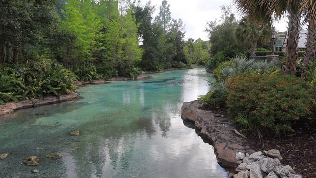 Typhoon Lagoon, Disney Art, & The Ganachery Chocolate Shop | ORLANDO DAY 14 смотреть онлайн