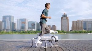 Introducing Unitree Go2 - Quadruped Robot of Embodied AI from $1600 | Pro Robots