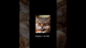 опять этот райфазен банк #мемы