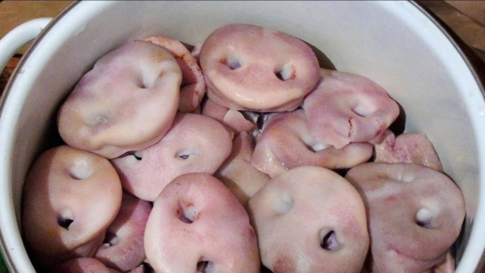 литовец обманщик