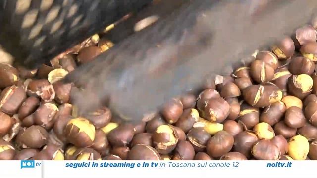 Alla Baita Barsi il ritorno della Festa della Castagna смотреть онлайн