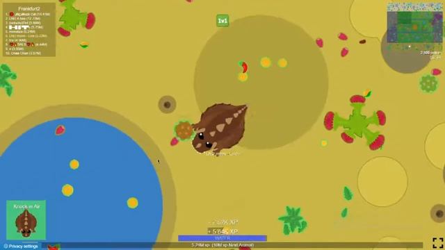 Mope.io 1v1 prac/crabJackass/Toucan trolling frankfurt 2 (im back)