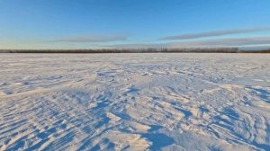 ОХОТА НА ЗАЙЦА В ТУЛЬСКОЙ ОБЛАСТИ! #Охота #Hunting