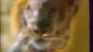 реклама Nestle Lion укротите льва