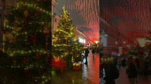 Китайский Новый Год в Москве 新年快乐 Chinese New Year in Moscow🐉