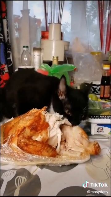 Пожалейте сироту бесприютную смотреть онлайн