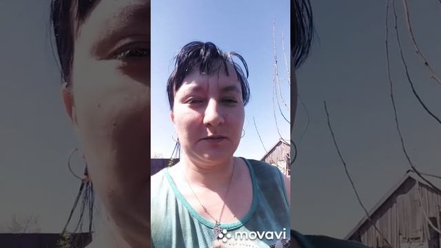 Сад. Малина. Огород посадки редиса. Петрушки. Базелика. Румтур по саду-огороду.