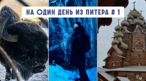 Куда съездить из Питера на 1 день? Зубровник, Рускеала, Богословка