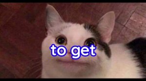 Beluga vs Pepper l Epic Rap Battle