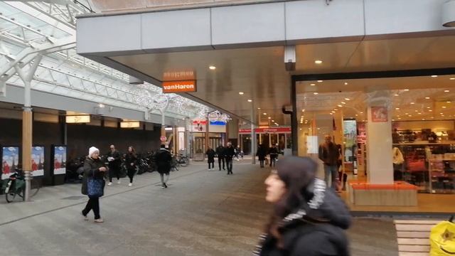 Новый год к нам мчится#новый год#туризм#гиды#экскурсии смотреть онлайн