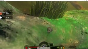 играю в фитен гроу фиш