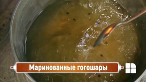 Маринованные гогошары Краски молдавской осени