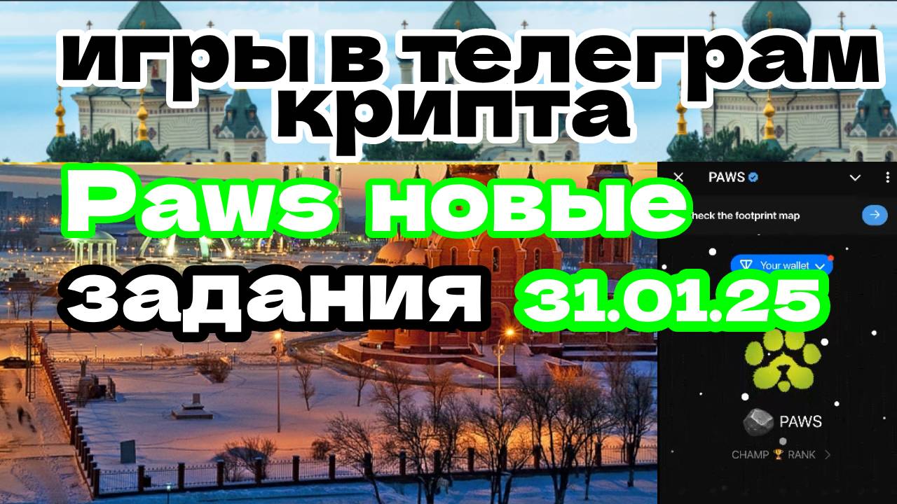 PAWS новые задания 31.01.25