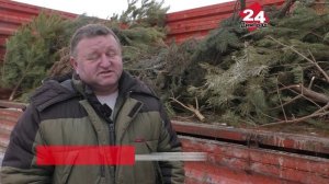 Димитровградские елочки стали подарком животным