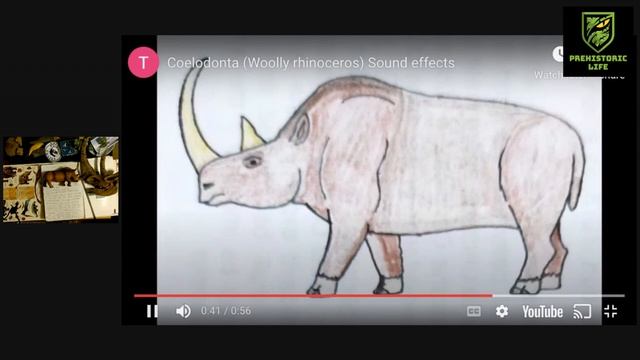 The Woolly Rhino: Coelodonta