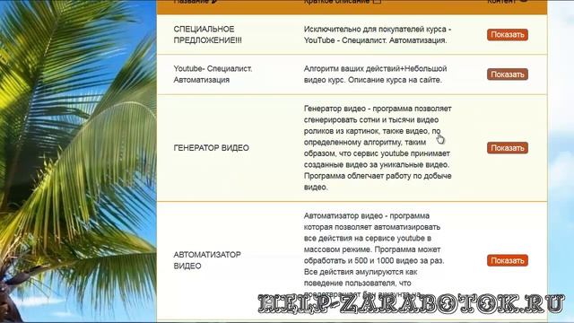 Александр Жук Обзор курса YouTube- Специалист. Автоматизация. смотреть онлайн