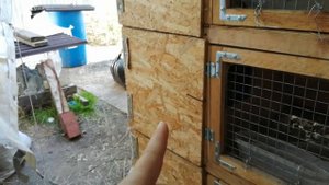 #кролики#видео#Крольчатник_своими_руками_часть_2