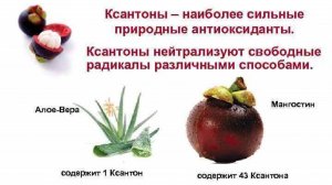 Что такое ксантоны?