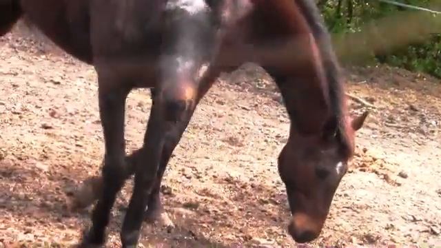 Rest In Peace Beautiful.