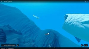 Giant Sea Monsters: Bloop, Megalodon, Blue Whale, Shark, El Gran Maja In Real Life on Google Earth!