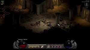 Diablo II Resurrected #29