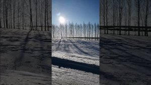 Зима .
