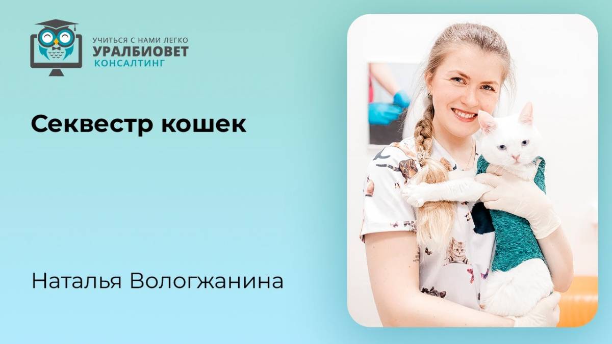 Трансляция фрагмента интенсива по офтальмологии “Секвестр кошек”. Лектор Наталья Вологжанина