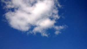 Выпустил белых и черных бакинцев. Черные "сдулись".