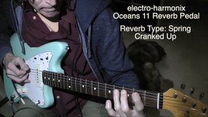 Oceans 11 Reverb Pedal - Hall, Spring, And Plate Demo