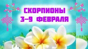 СКОРПИОНЫ. Неделя 3-9 февраля.