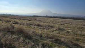 Видеообзор 317 земельного участка