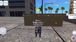 Cute Cat And Puppy World | Играю за АЛМАЗА! | СПС ЗА 40 КИСОК!!!