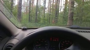 Логан на бездорожье