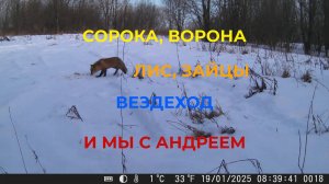 Смотрите что Наснимала моя Фото ловушка