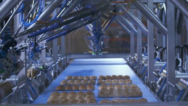 Bakery: Robotic packaging solution for soft bread buns picking and folding